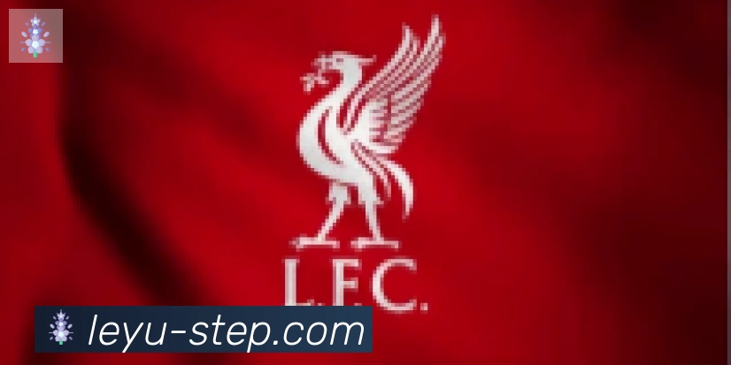 乐鱼leyu合作伙伴