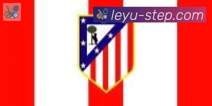 乐鱼leyu合作伙伴