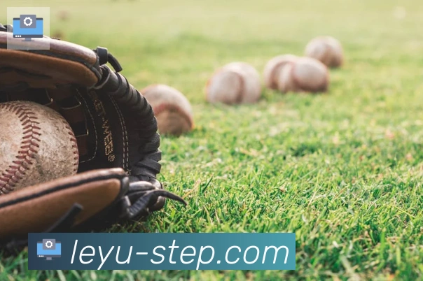 乐鱼leyu全站App 乐鱼leyu全站App